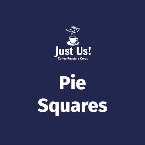 Seasonal Pie Squares